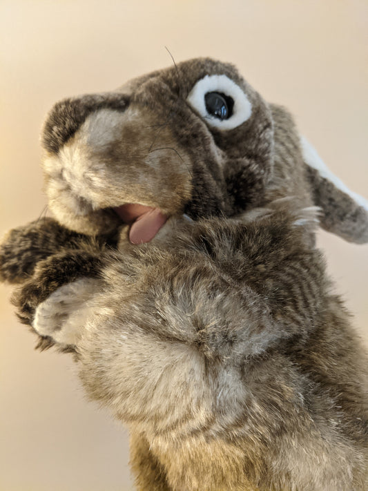 Rabbit Stage Puppet, Folkmanis Puppets